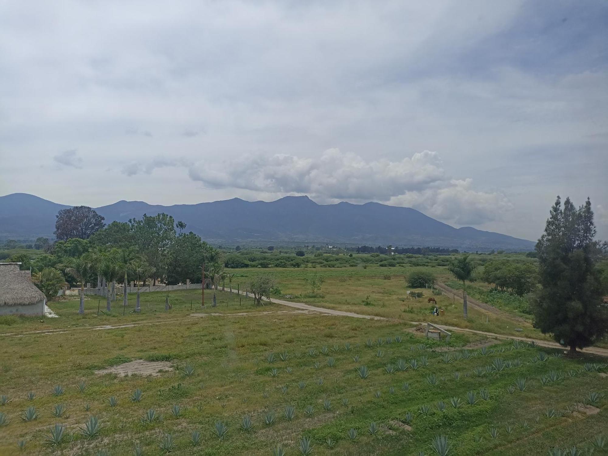 Don Pedrillo Hotell Oaxaca Exteriör bild