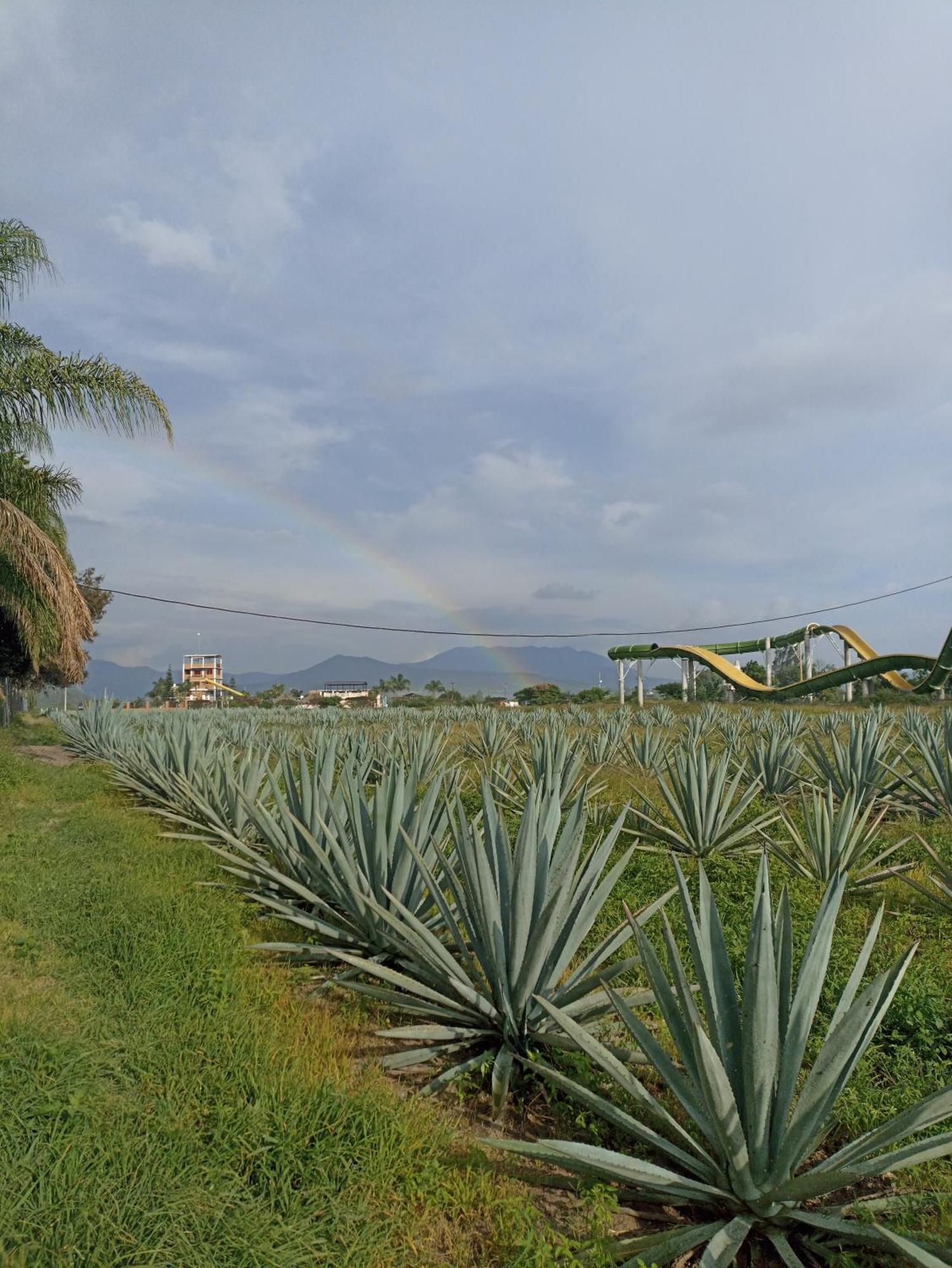 Don Pedrillo Hotell Oaxaca Exteriör bild